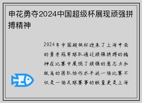 申花勇夺2024中国超级杯展现顽强拼搏精神